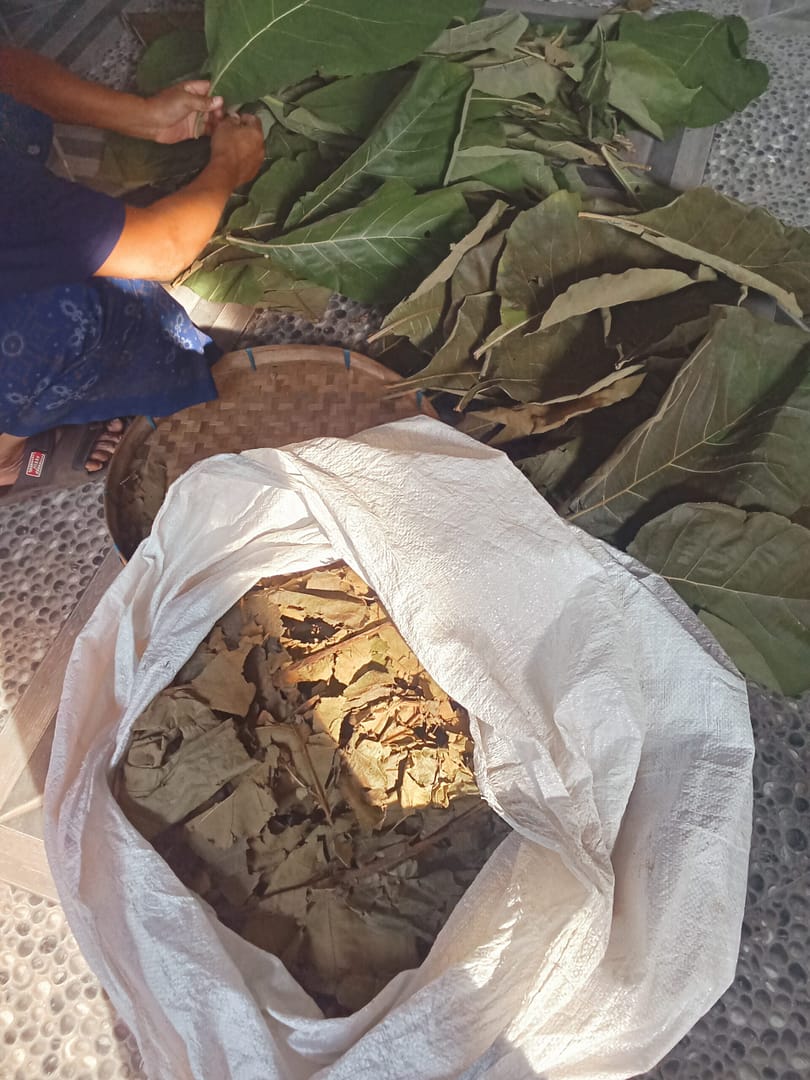 Choosing good leaves